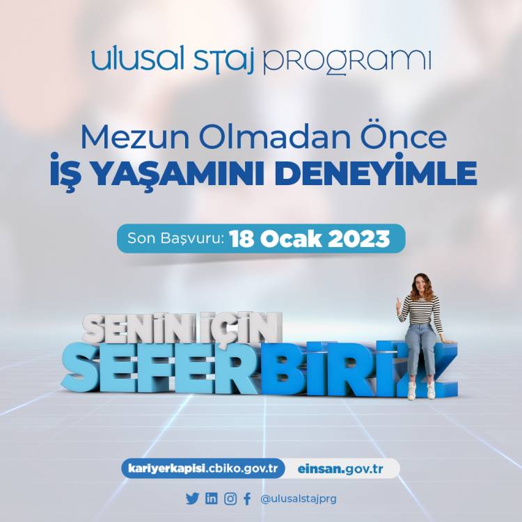 Ulusal Staj Programı